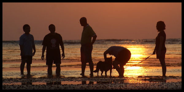 SONY DSC A silhouette of family taking a stroll with their pet. Golden sunset